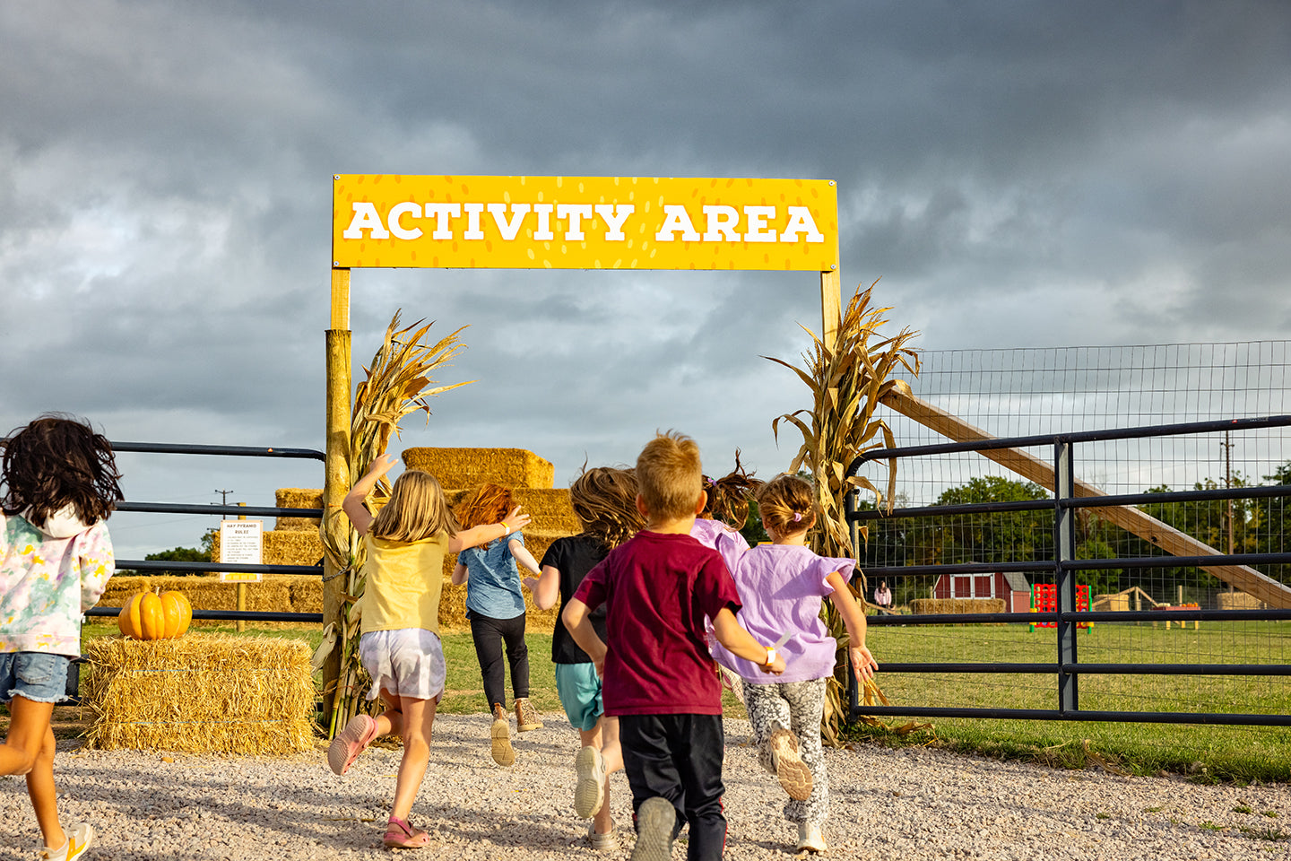 Fall Activity Area and Corn Maze