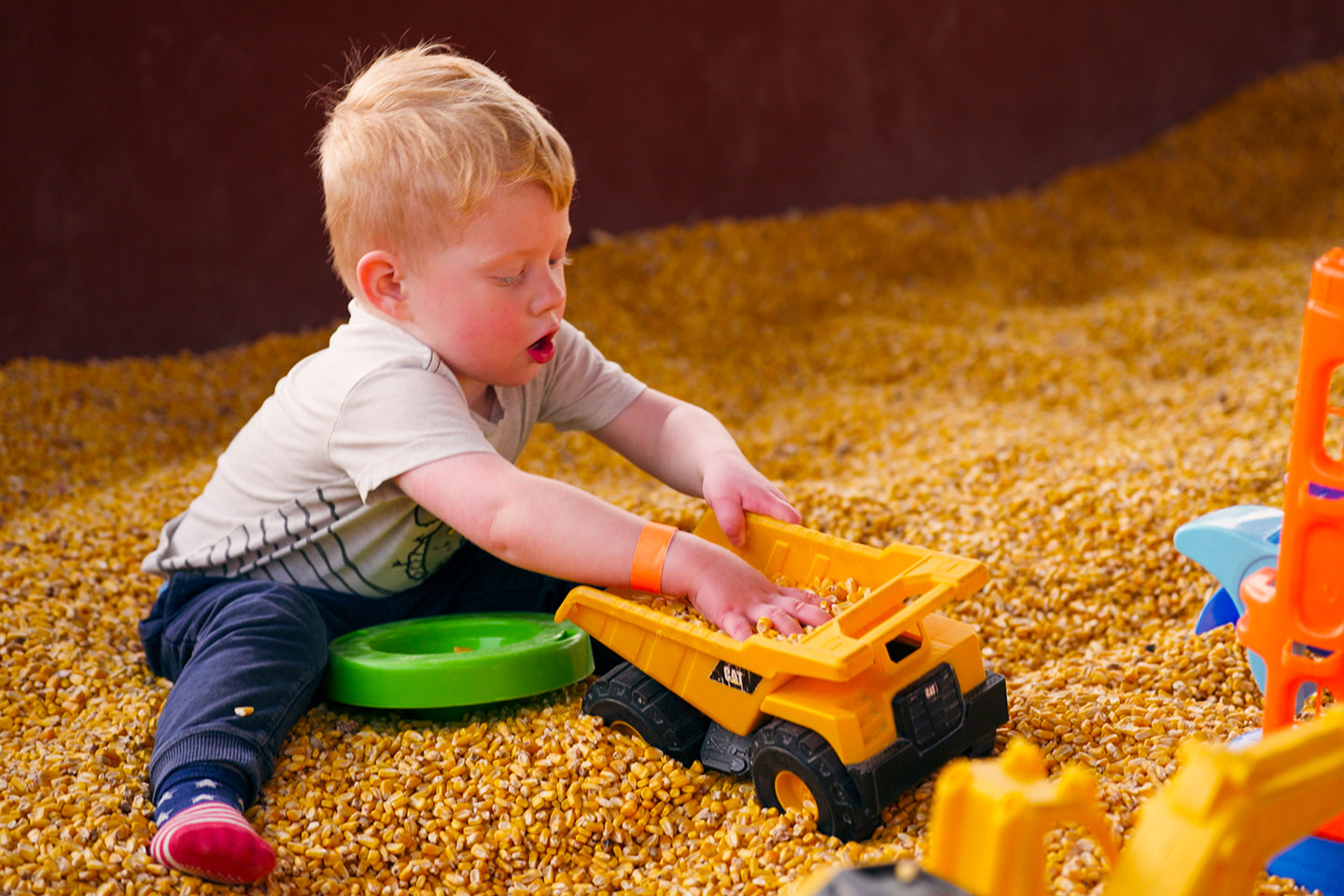 Fall Activity Area and Corn Maze