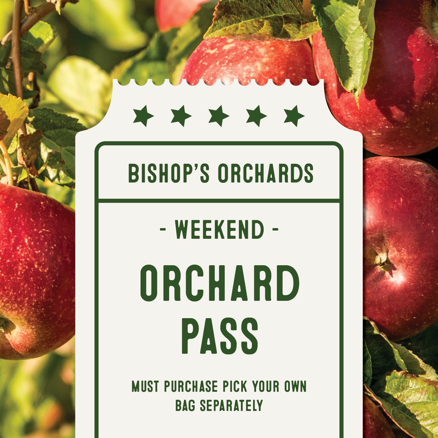 Orchard Pass