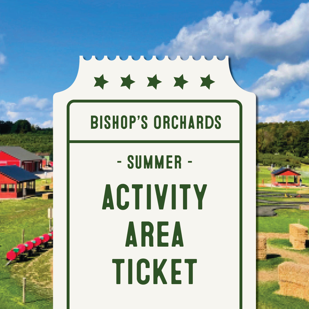 Summer Activity Area