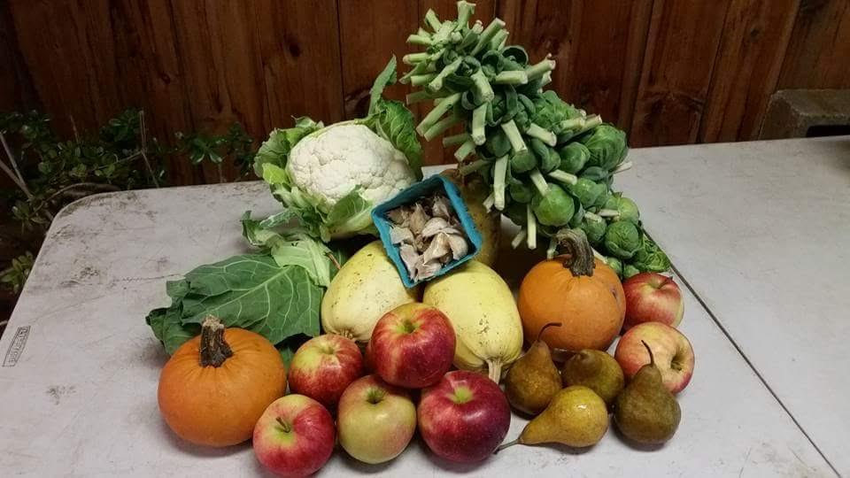 Fall Farm Share
