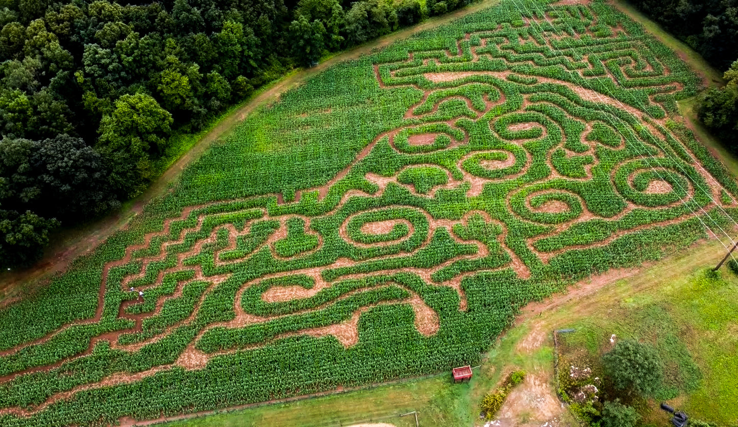 Fall Activity Area and Corn Maze