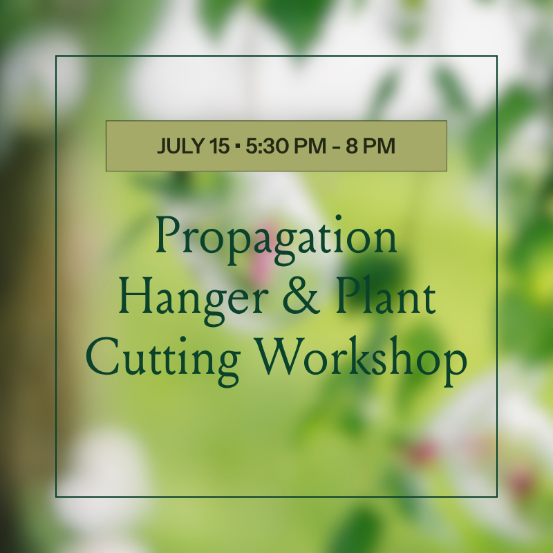 Propagation Hanger & Plant Cutting Workshop