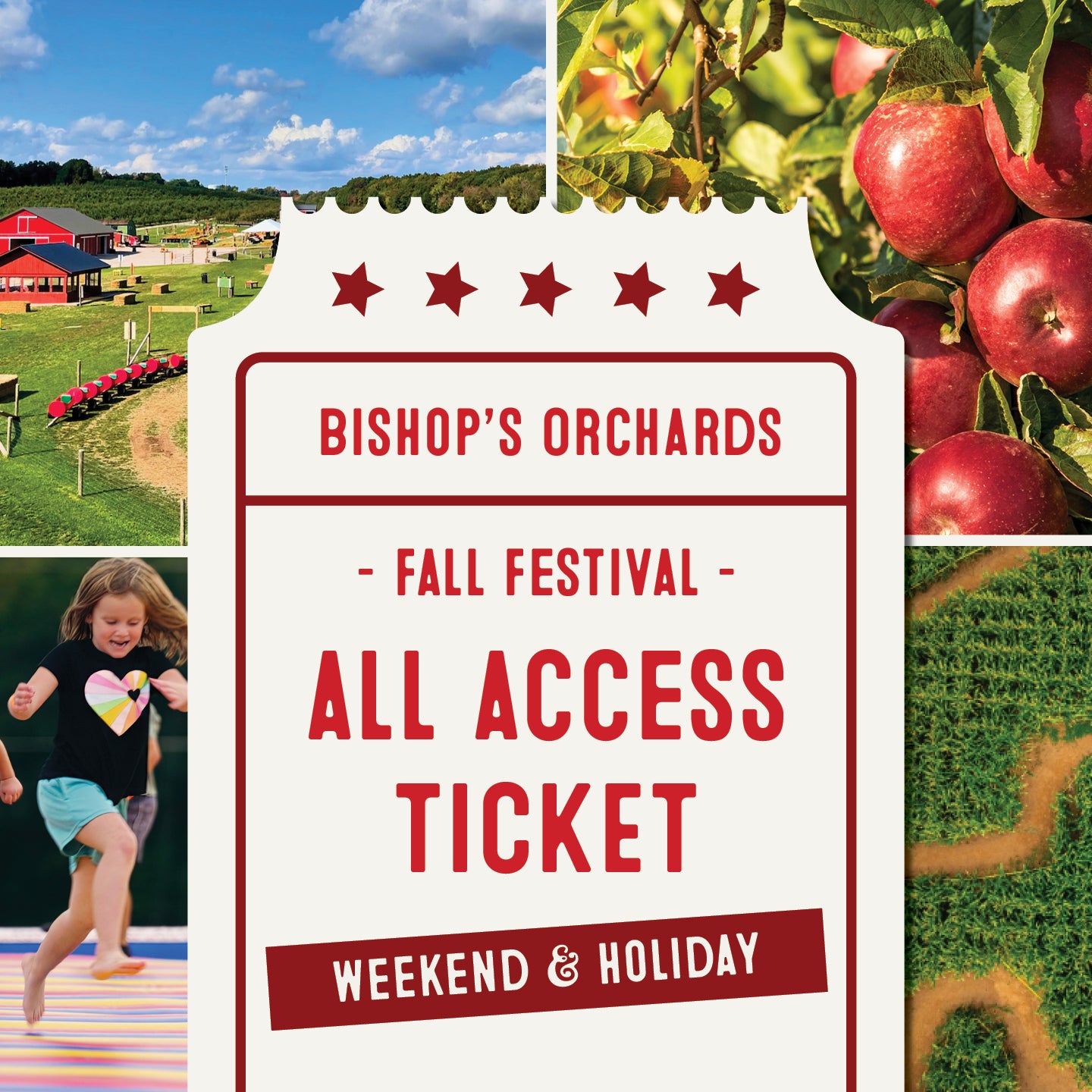 Fall Activity Area and Corn Maze Weekend & Holiday