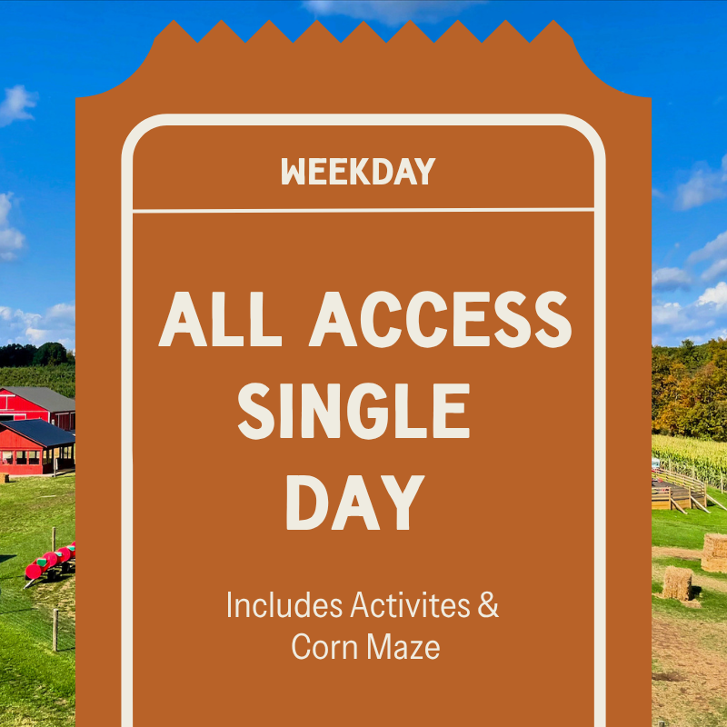 Weekday Fall Festival - All Access