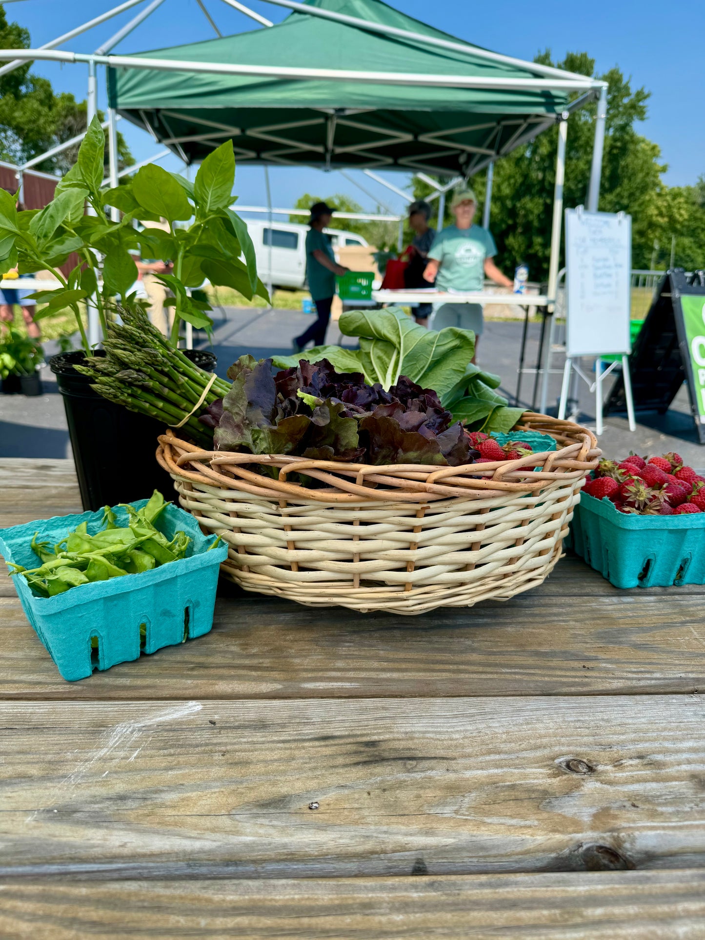 Farm Share 2026 - Medium