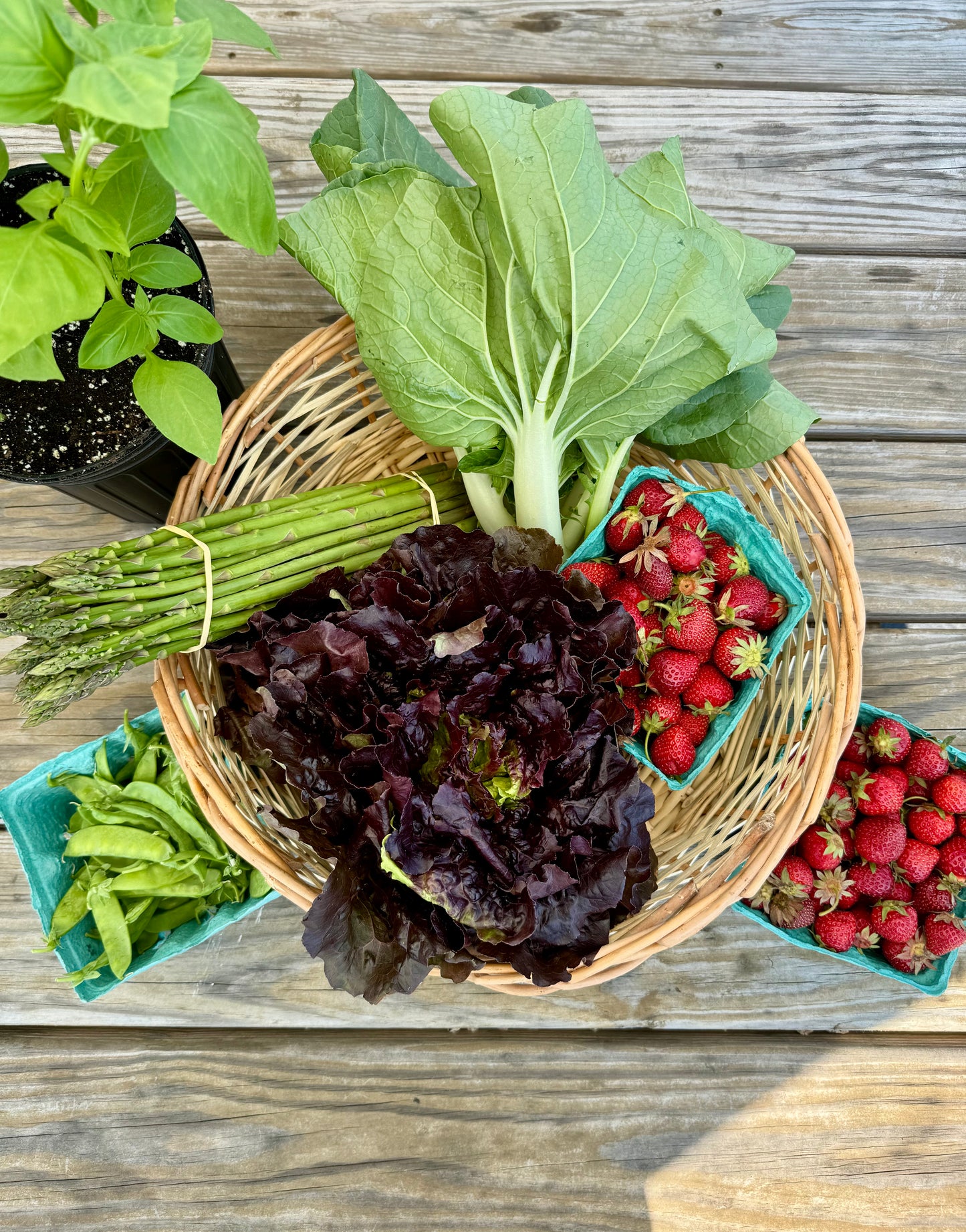 Farm Share 2026 - Medium