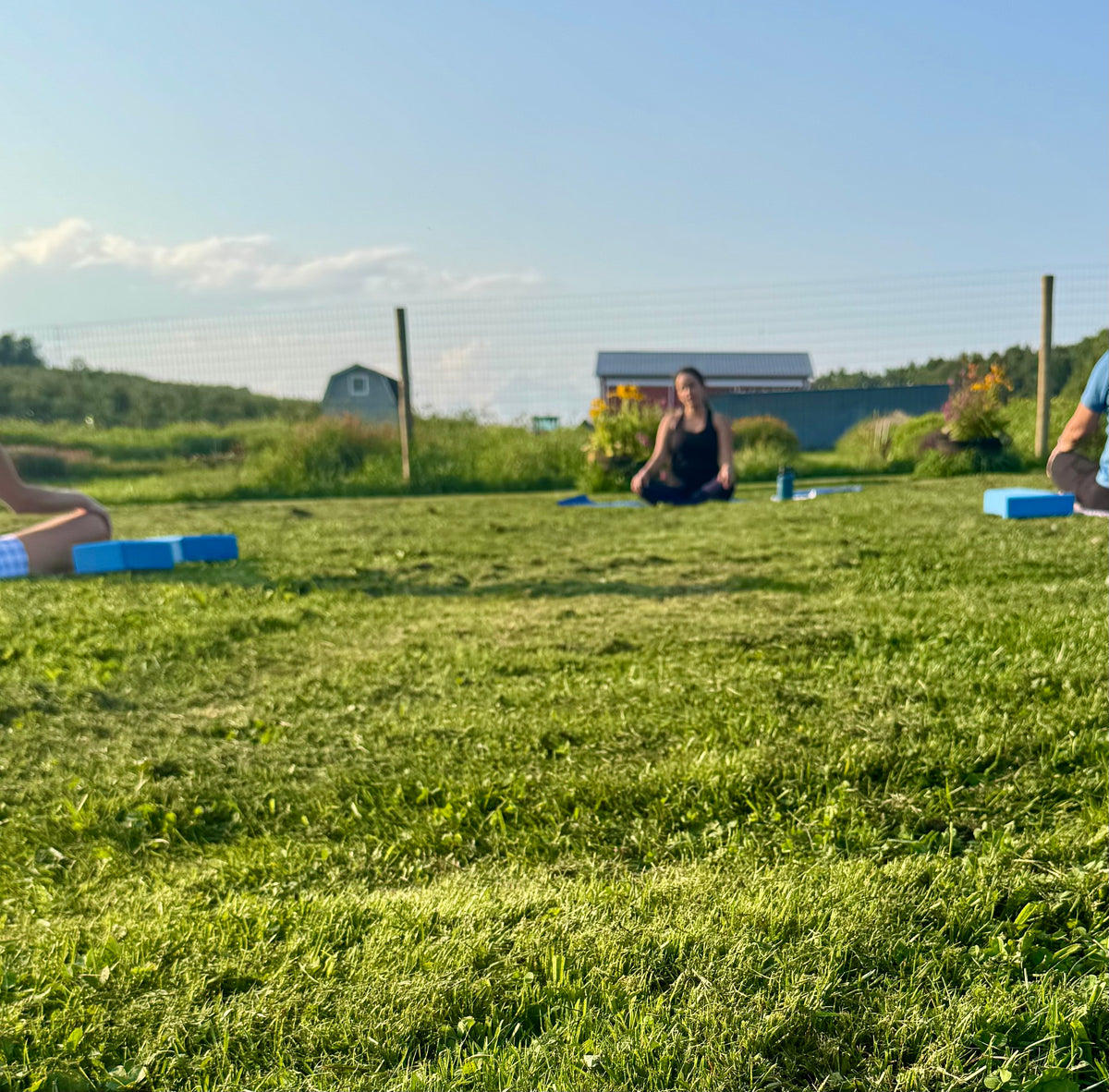 Golden Hour Yoga in the Orchard