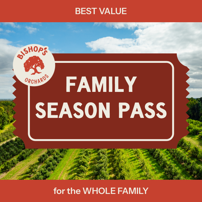 Family Season Pass with Construction Tyme